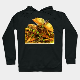 Locust attack Hoodie